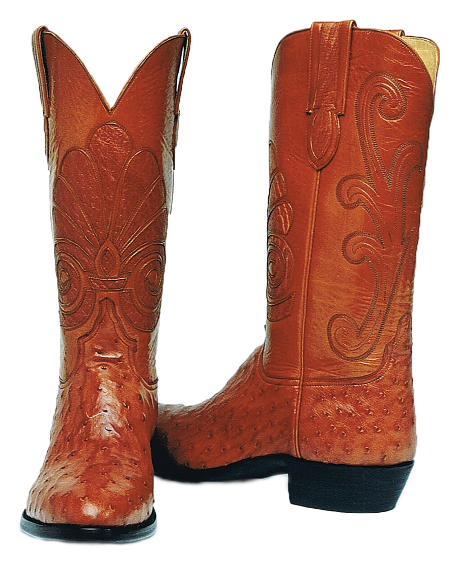 Handmade hotsell ostrich boots